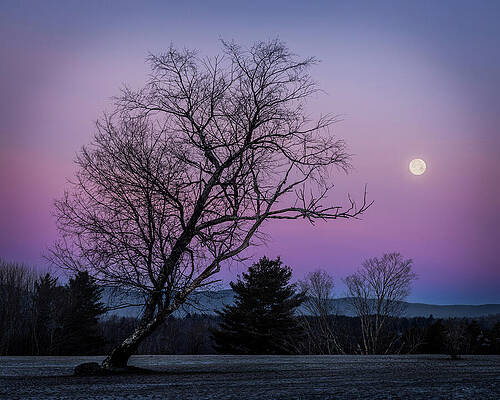 Tranquil Wall Art featuring the photograph Twilight Serenity Under The Full Moon by NorthEast Creativity