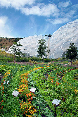 Biodomes at a Botanical Garden Wall Art