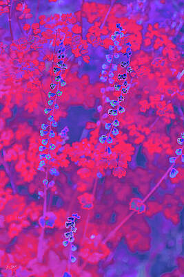 Vibrant Floral Explosion Digital Art