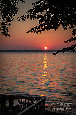 Summer Photograph - Wake Up Call #1 by William Norton