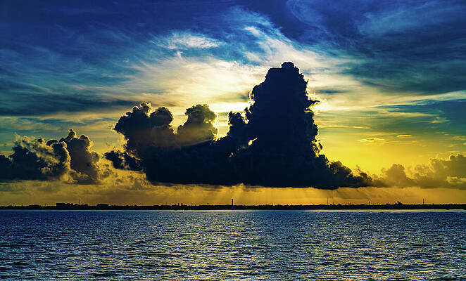 Seattle Wall Art featuring the photograph Waking Up To Cozumel Mexico #1 by Tommy Farnsworth