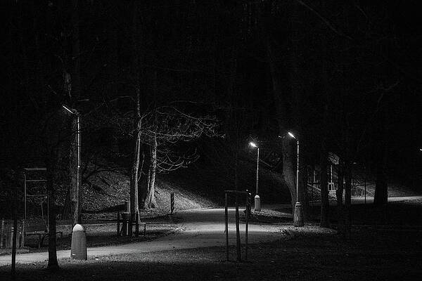 Nature Photograph - Walking In The Dark #1 by Robert Grac