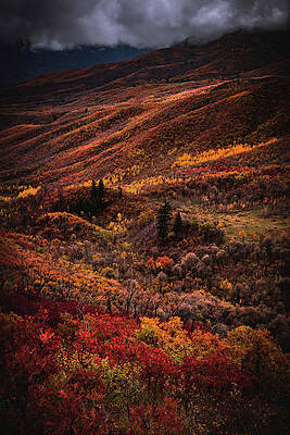 Fall Photograph - Wasatch Back Autumn Storm, Utah - Vertical #1 by Abbie Warnock
