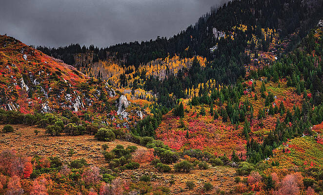 Color Photograph - Wasatch Mountains Colors, Utah #1 by Abbie Warnock