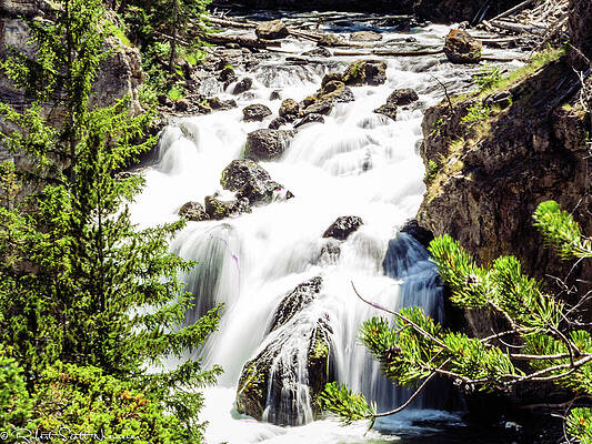 Tree Photograph - Waterfall #1 by Robert Niemeier