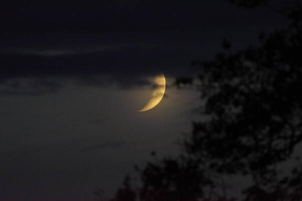 Sky Photograph - Waxing Crescent In The Cloud #1 by Murray Croft