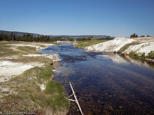 Tree Photograph - Yellowstone River #1 by Robert Niemeier