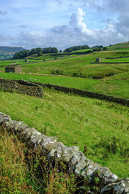 Rolling Hills and Stone Walls Photograph