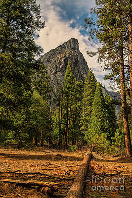 Outdoors Wall Art featuring the photograph Yosemite National Park #2 by Abigail Diane Photography
