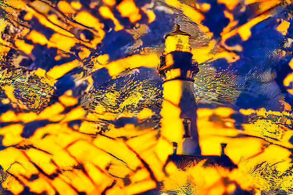 Butterfly Photograph - Yaquina Head Lighthouse #10 by Bruce Block