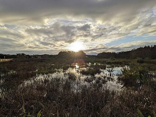 Serene Wall Art featuring the photograph 10115 by David McKinney