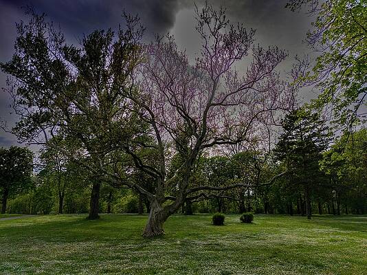 Nature Photograph - Countryside #11 by Robert Grac