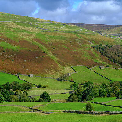Rolling Hills with Stone Walls Wall Art