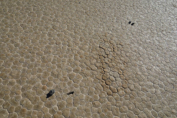 California Wall Art featuring the photograph The Racetrack Playa #11 by Jonathan Babon