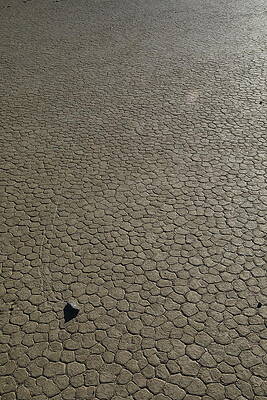 Photograph - Traveling Stone #11 by Jonathan Babon