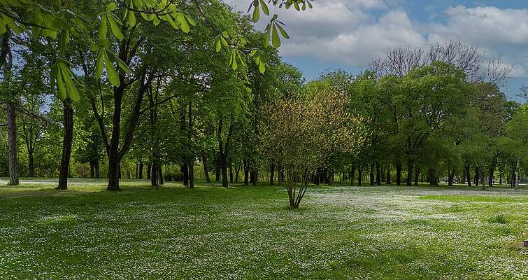 Nature Photograph - Countryside #12 by Robert Grac