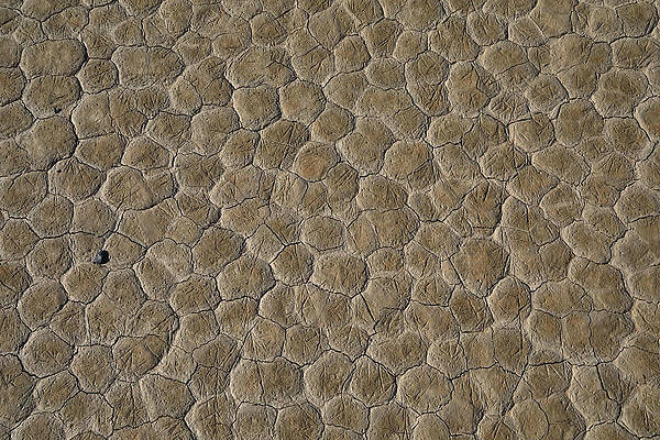 Photograph - The Racetrack Playa #12 by Jonathan Babon