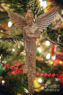 Reflection Photograph - 1201_Bokeh by Mark Triplett