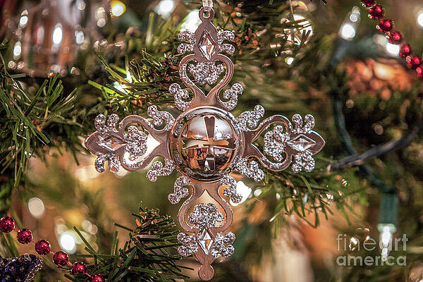 Reflection Photograph - 1206_Bokeh by Mark Triplett