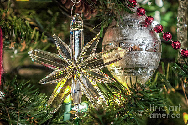 Reflection Photograph - 1223_Bokeh by Mark Triplett