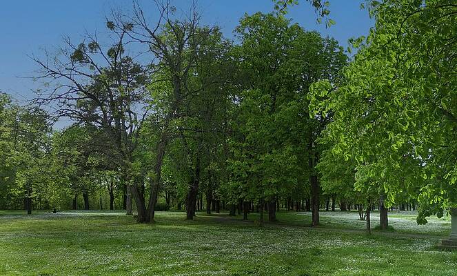 Nature Photograph - Countryside #14 by Robert Grac