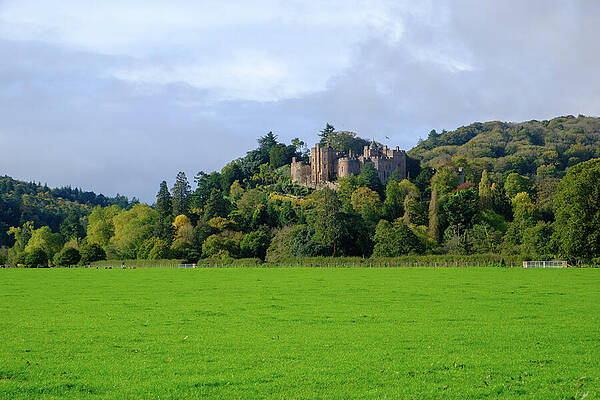 Majestic Castle on Hilltop Photograph