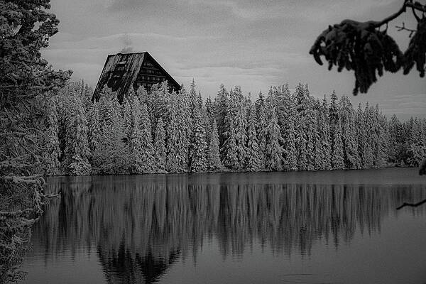 Nature Photograph - Winter Wonderland #152 by Robert Grac