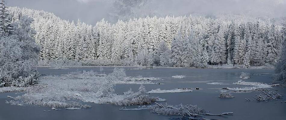 Nature Photograph - Winter Wonderland #145 by Robert Grac