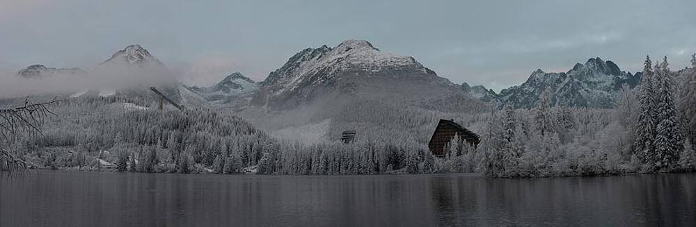 Nature Photograph - Winter Wonderland #146 by Robert Grac