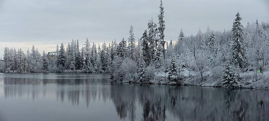 Nature Photograph - Winter Wonderland #148 by Robert Grac