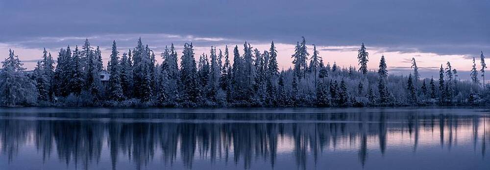 Nature Photograph - Winter Wonderland #149 by Robert Grac