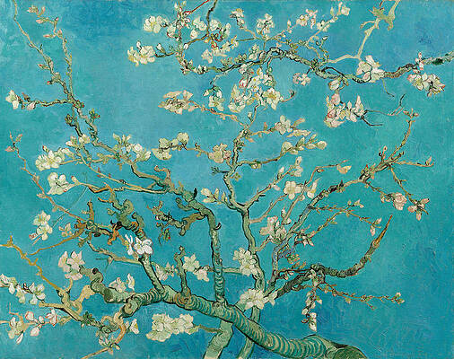 Van Gogh Almond Blossom Painting