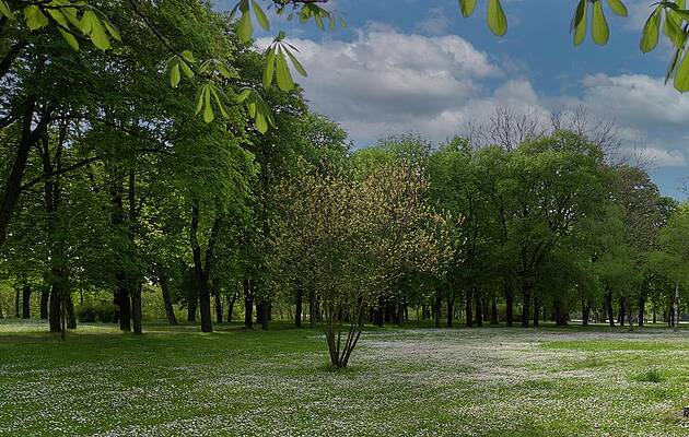 Nature Photograph - Countryside #15 by Robert Grac