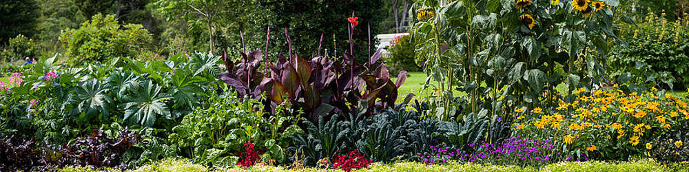 Love Wall Art featuring the photograph Nature Art #15 by Robert Grac