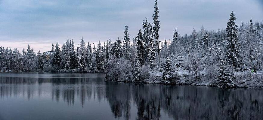 Nature Photograph - Winter Wonderland #150 by Robert Grac