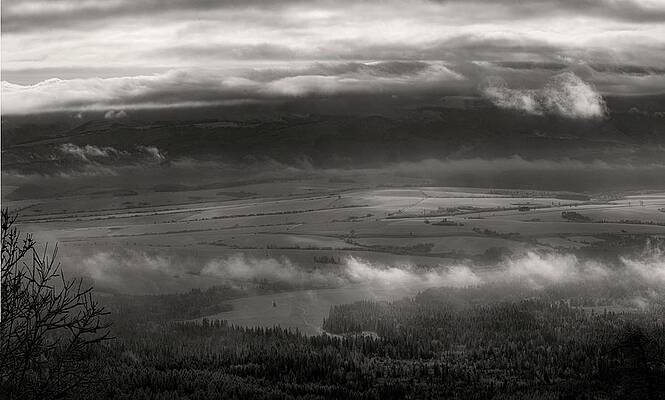 Nature Photograph - Winter Wonderland #81 by Robert Grac