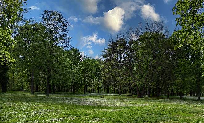 Nature Photograph - Countryside #16 by Robert Grac
