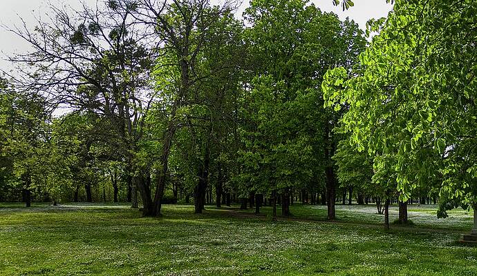 Nature Photograph - Countryside #17 by Robert Grac