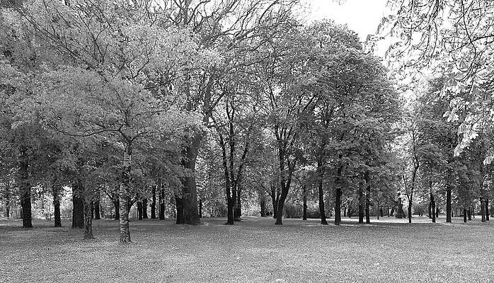 Nature Photograph - Countryside #18 by Robert Grac