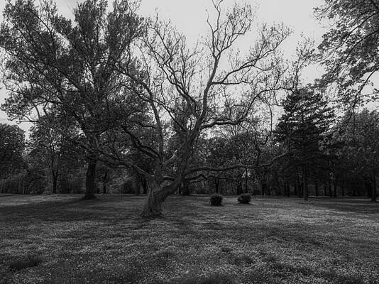 Nature Photograph - Countryside #19 by Robert Grac