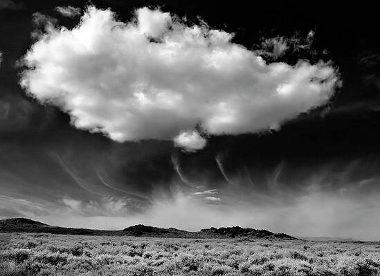 Wall Art featuring the photograph One Chance Of Rain by Joe Schofield