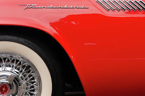Wall Art featuring the photograph 1956 Ford Thunderbird by Chad Thunberg
