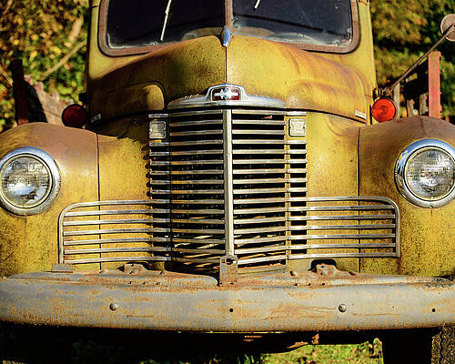 1959 International KB 5 grill by Flees Photos