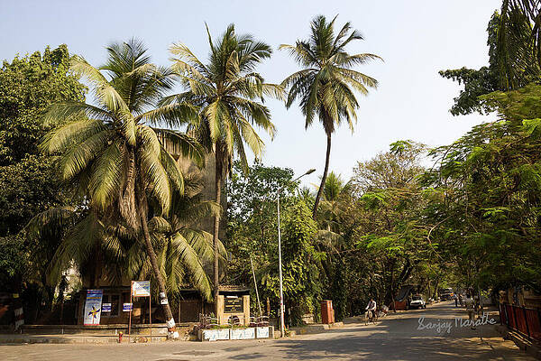 Wall Art featuring the photograph A2 Building, MIG Colony, Bandra East by Sanjay Marathe