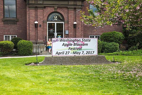 Washington Photograph - Apple Blossom Festival #2 by Tom Cochran