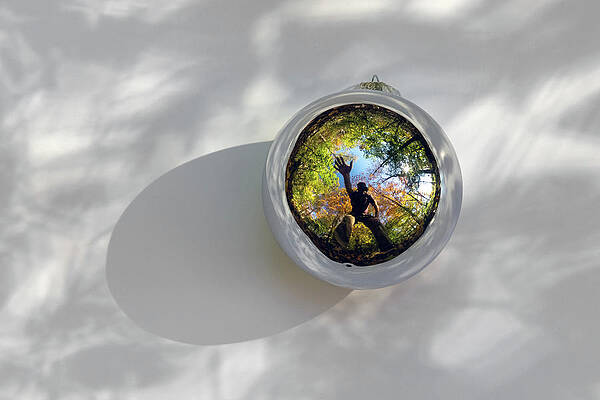 Fall Wall Art featuring the photograph Autumn Portal #2 by Todd Wilkinson