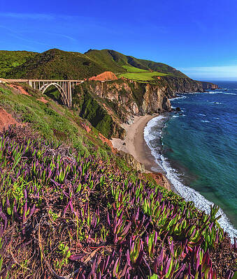 Wall Art featuring the photograph Bixby Creek Bridge And Ice Plant, Big Sur, California - Vertical #2 by Abbie Warnock