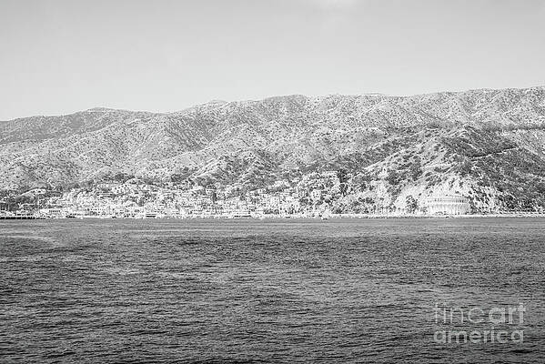 Wall Art featuring the photograph Catalina Island Black And White Photo #2 by Paul Velgos