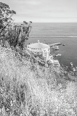 Wall Art featuring the photograph Catalina Island Casino Black And White Photo #2 by Paul Velgos
