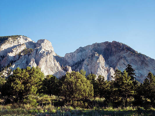 Tree Photograph - Colorado - Buena Vista #2 by Robert Niemeier